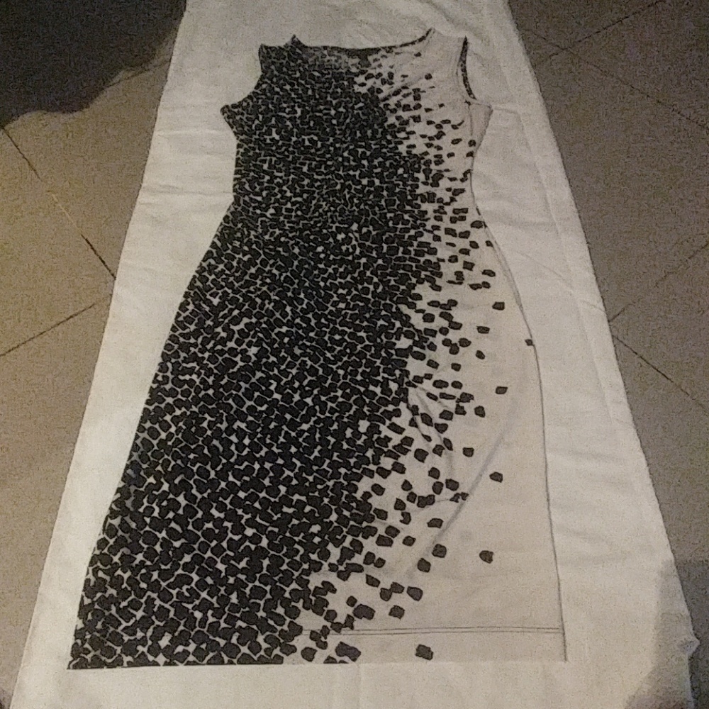 Bcbgmaxazria sleeveless dress